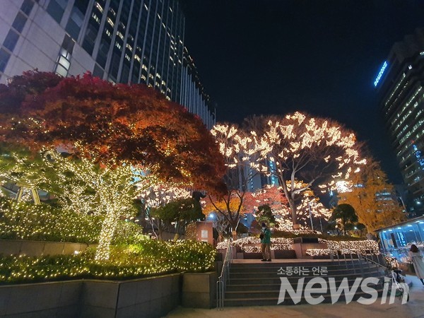 서울 명동 롯데백화점 2020.11.16