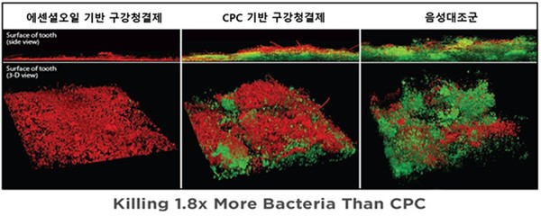 에센셜오일 성분 효과