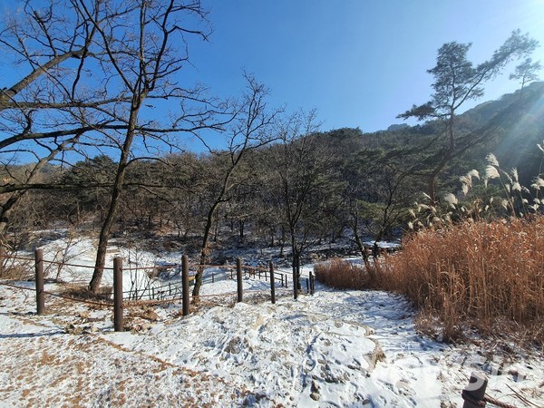 한파경보가 발효 중인 8일 경기도 양주시 송추 북한산 곳곳이 얼어붙으면서 겨울이 깊어가고 있다. 2021.01.08.