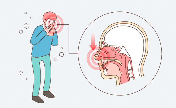 ▲비염 참고 이미지