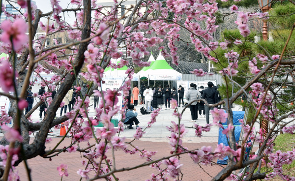대구 지역 코로나19 확진자가 3명으로 집계된 9일 오전 대구 중구 국채보상운동기념공원에 마련된 임시선별검사소에서 시민들이 검사를 받기 위해 줄 서 기다리고 있다. 2021.03.09 / 사진=[뉴시스]