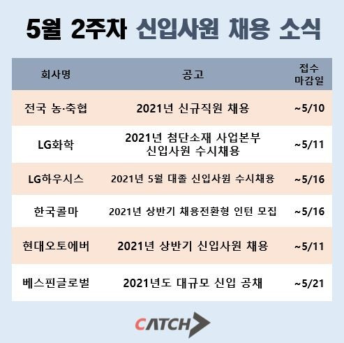 캐치가 공개한 5월 2주차 신입사원 채용 소식 모음