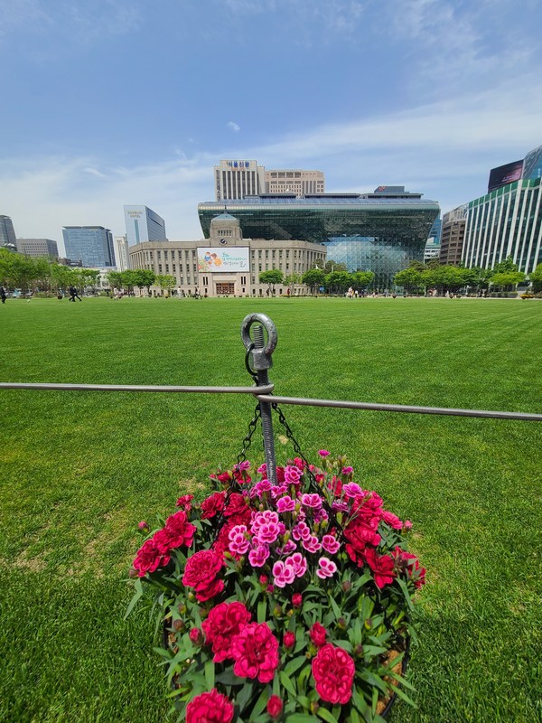 서울시청 광장 앞 / 사진=[임길섭]