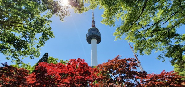 서울 남산. 2021.05.09 / 사진=[김재성]