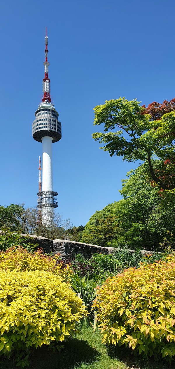 서울 남산. 2021.05.09 / 사진=[김재성]