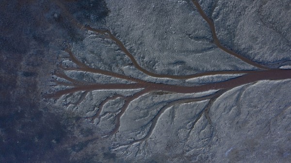 김종범 작가 작품.