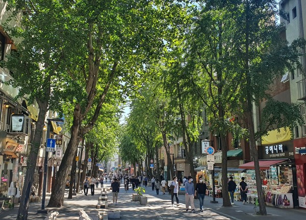 서울시 종로구 인사동 거리.2021.06.09