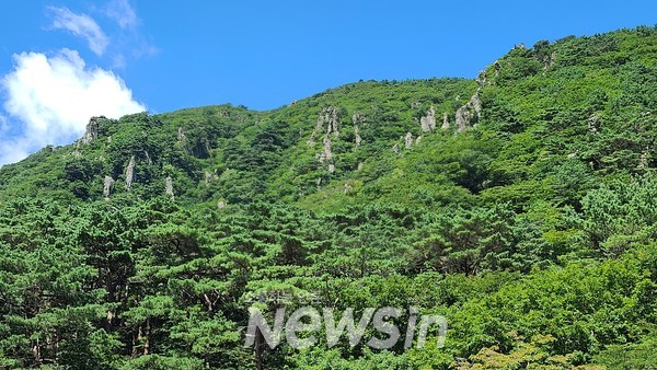 한라산 영실기암. (사진=정경호 기자)