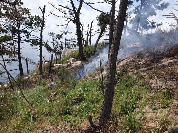 충남 보령시 산불 현장 (사진 = 산림청 제공)