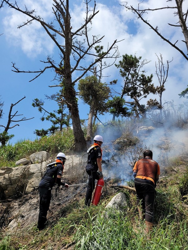 사진 = 산림청 제공