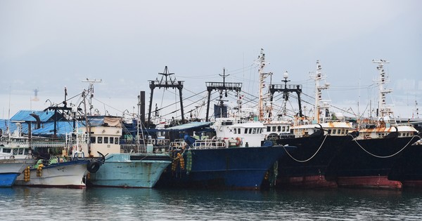 제12호 태풍 오마이스(OMAIS)가 북상 중인 23일 오전 중·소형 어선들이 경남 사천시 삼천포항에 피항해 있다. 2021.08.23 / 사진=[뉴시스]