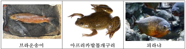 사진 = 환경부 제공