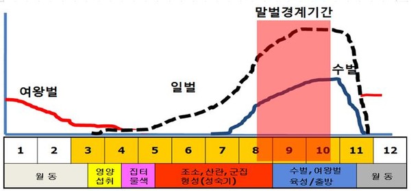 벌의 생태 (이미지 = 소방청 제공)