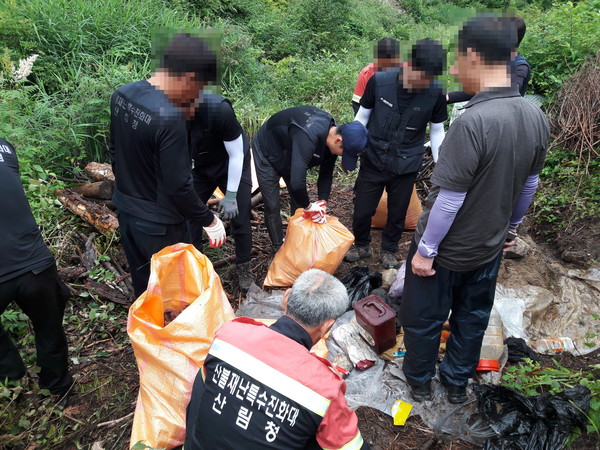 산림 내 특별단속 (사진 = 산림청 제공)