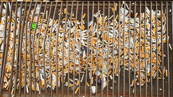 담배꽁초 (사진 출처 = Pixabay)