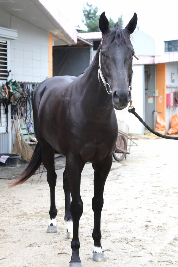 문화일보배_컴플리트밸류