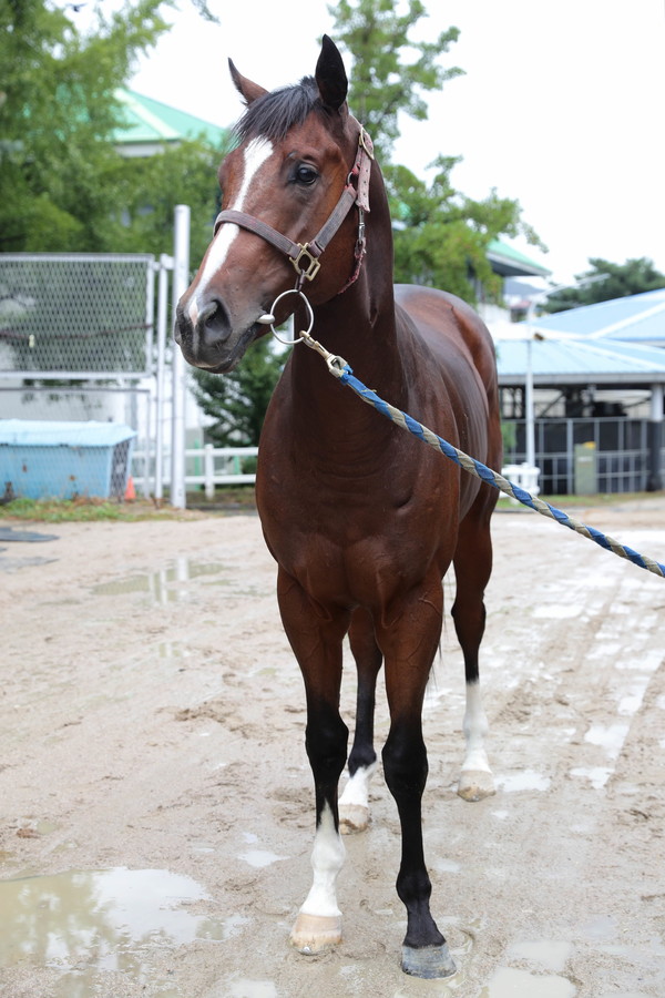 문화일보배_원평가속