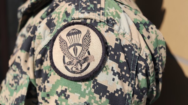 군인 (사진 출처 = Pixabay)