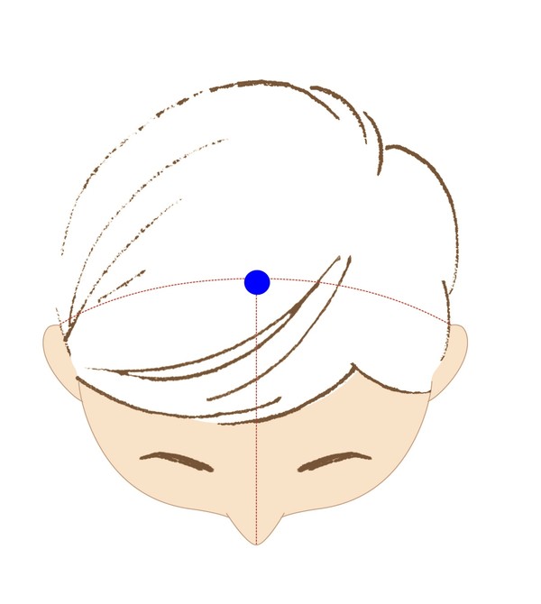 [사진설명] 백회혈