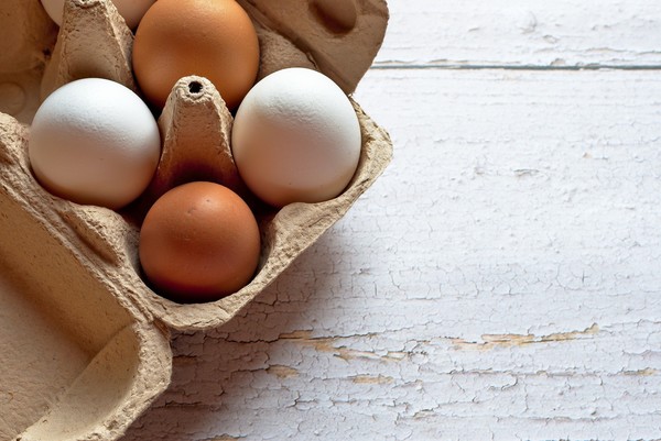 계란 이미지. (출처=pixabay)