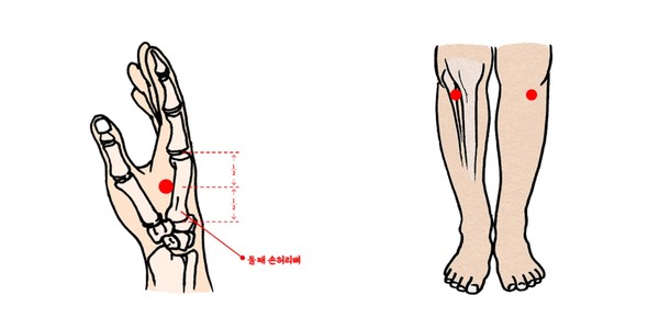 [사진설명] 소화불량 개선에 효과적인 ‘합곡혈(왼쪽)’과 ‘족삼리혈(오른쪽)’