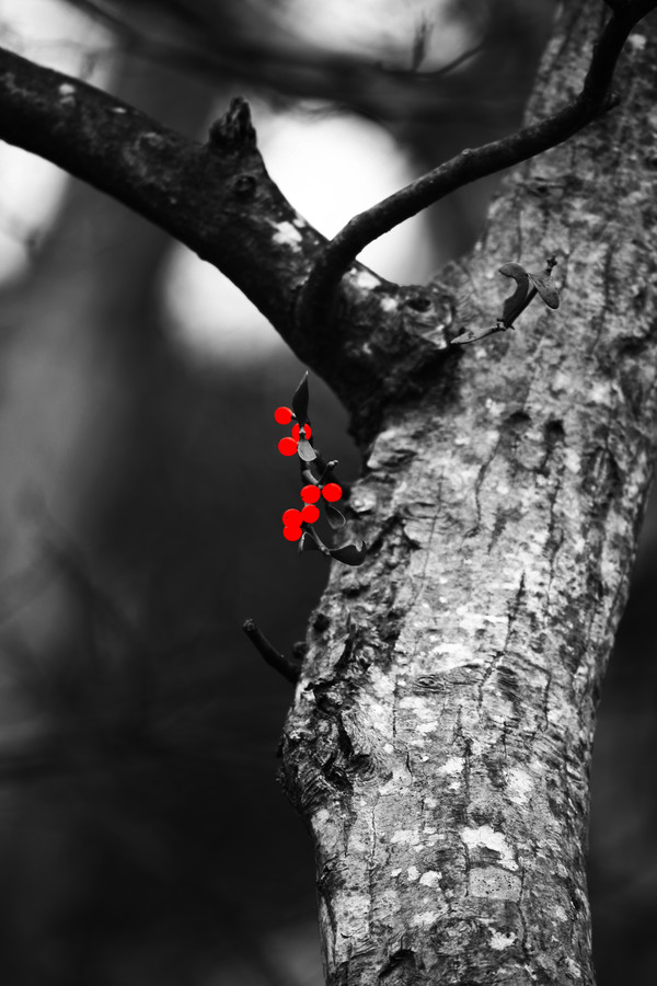 정상기 작가 작품.