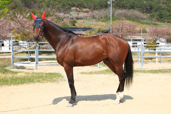 (기획1) 위너스타