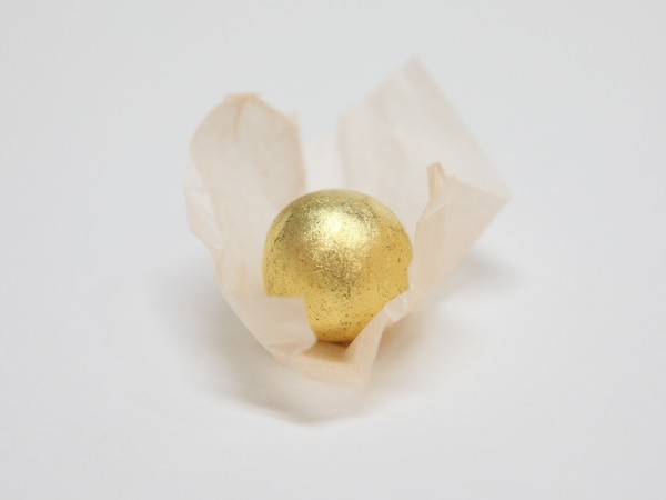 [사진설명] 기억력 개선 및 노화 억제 효과가 있는 ‘공진단’