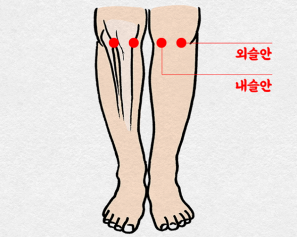 [사진설명] 무릎 주변 근육과 관절 강화에 효과적인 ‘슬안혈’ 지압