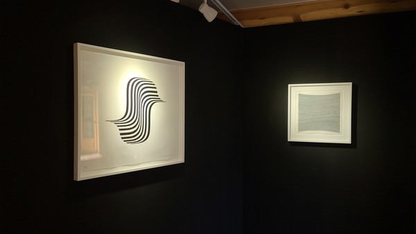 브리짓 라일리 작품