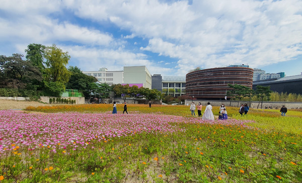 가을 날씨를 보인 21일 오후 개방된 서울 종로구 송현녹지공원에 시민들이 나와 꽃밭을 배경으로 사진을 찍고 있다.