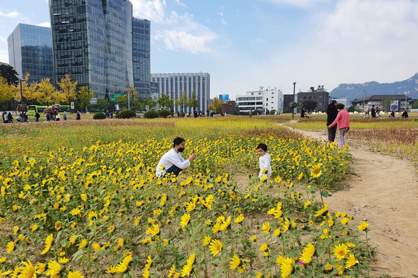 가을 날씨를 보인 21일 오후 개방된 서울 종로구 송현녹지공원에서 엄마와 아이가 꽃밭을 배경으로 사진을 찍고 있다.
