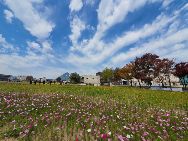 가을 날씨를 보인 21일 오후 개방된 서울 종로구 송현녹지공원에 시민들이 나와 가을 하늘과 꽃밭을 둘러보며 삼삼오오 모여 휴식을 취하고 있다.