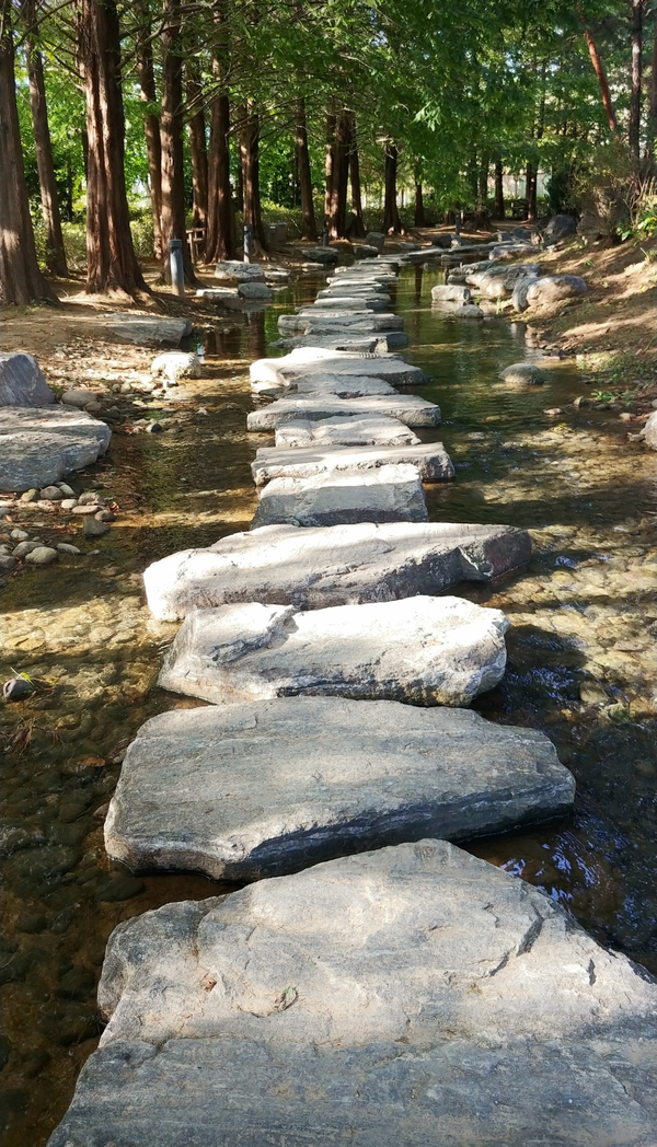 사진=[이은미 작가]