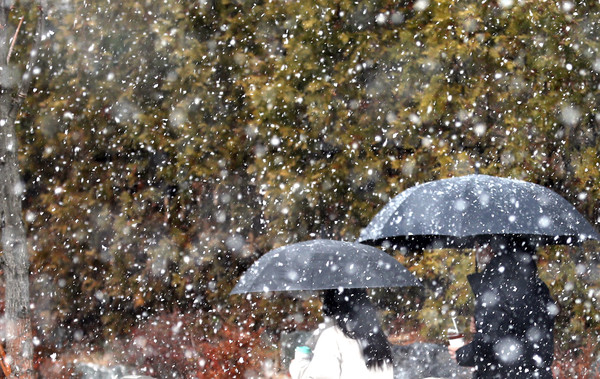 13일 세종시 어진동에 함박눈이 내리자 지나던 시민들이 발길을 재촉하고 있다. 2022.12.13 / 사진=[뉴시스]