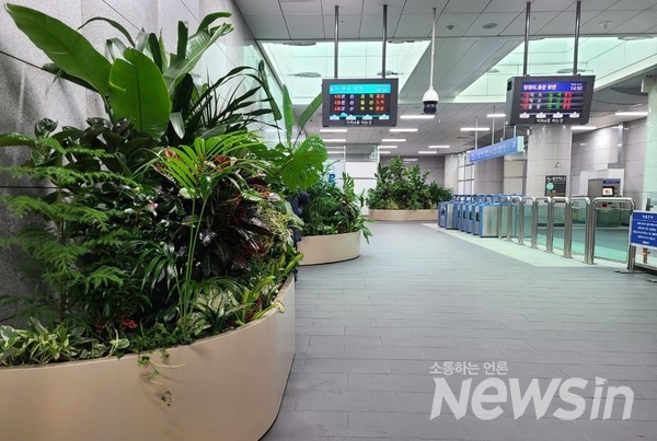 서대문구, 가좌역 내 사계절 푸른 '아래숲길' 조성