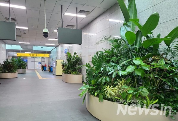 서대문구, 가좌역 내 사계절 푸른 '아래숲길' 조성