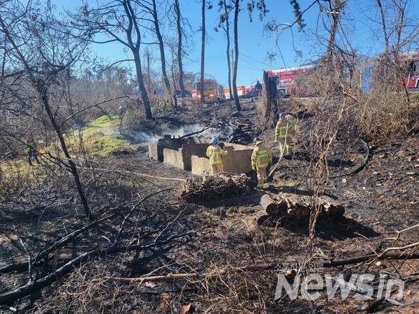 부산 기장군 산불... 37분만에 진화 완료