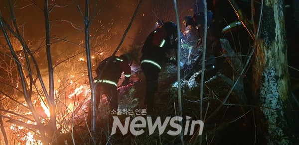 경북 상주시 야간 산불발생....1시간 17분만에 주불 진화완료