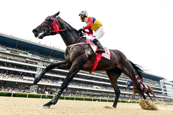 사진)19년 코리아컵 문학치프 문세영 결승선 통과장면