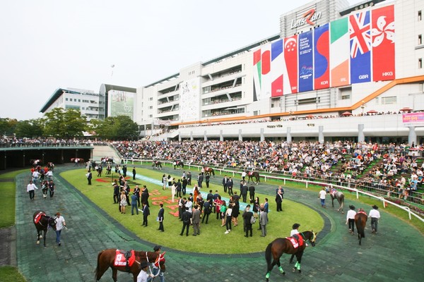 16년 코리아컵 경주