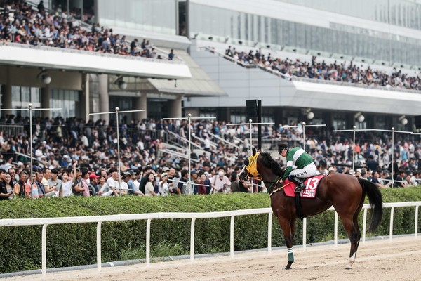 19년 코리아 스프린트를 우승한 블루치퍼와 유현명 기수