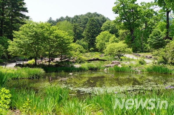 연인들이 하트모양을 하면서 사진찍는 장소로 인기가 있는 작은 구름다리.