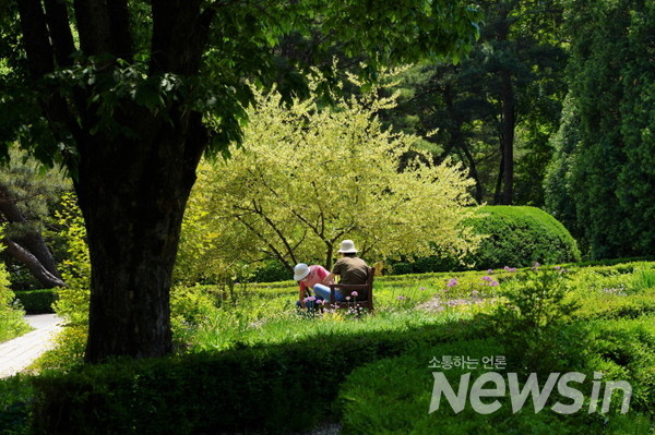 보리수꽃 앞 벤치에 앉아 있는 연인들이 부럽기만 하다.