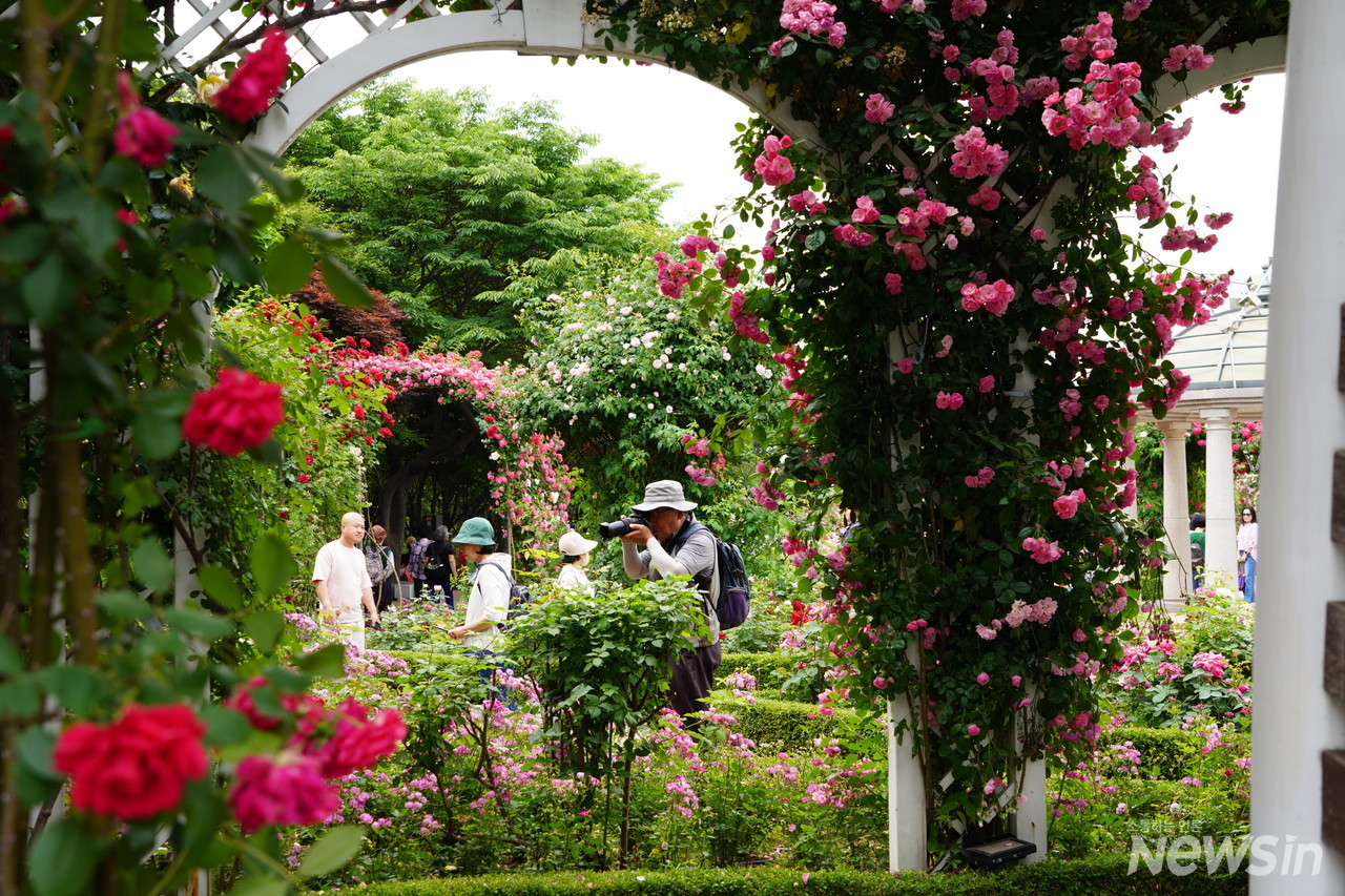 사진작가들은 아름다운 곳에는 언제나 달려온다