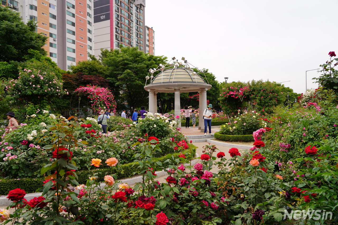 로마에 온 것 같은 느낌이 드는 풍경이 참 아름답다