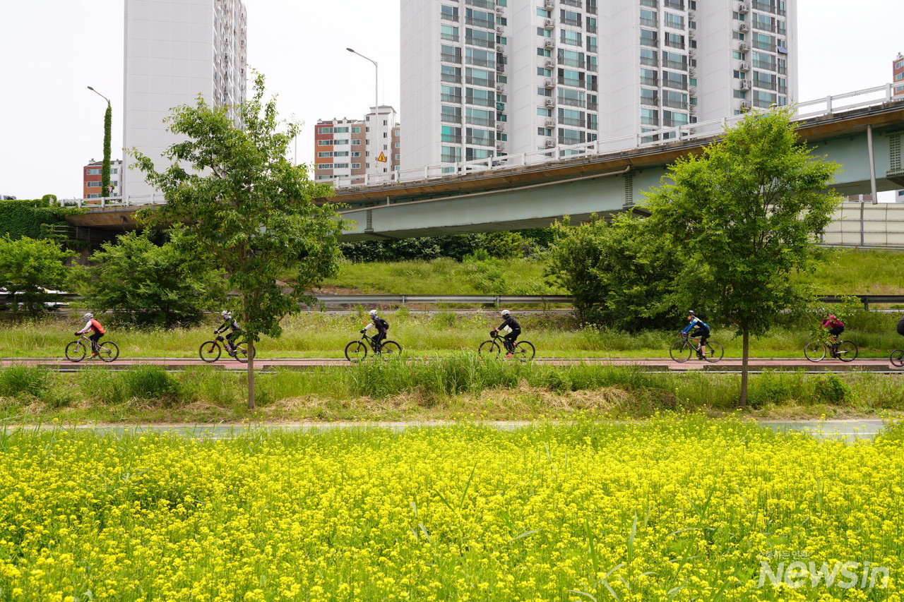 무더위에도 중랑천 둔치에는 자전거 타는 사람들이 늘 많다