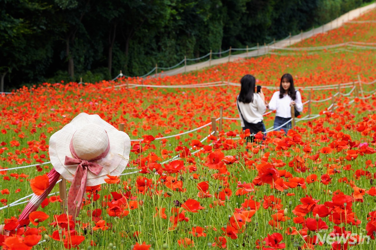 여자 친구들끼리 서로 사진을 찍어주면서 아름다운 추억을 만들고 있네요