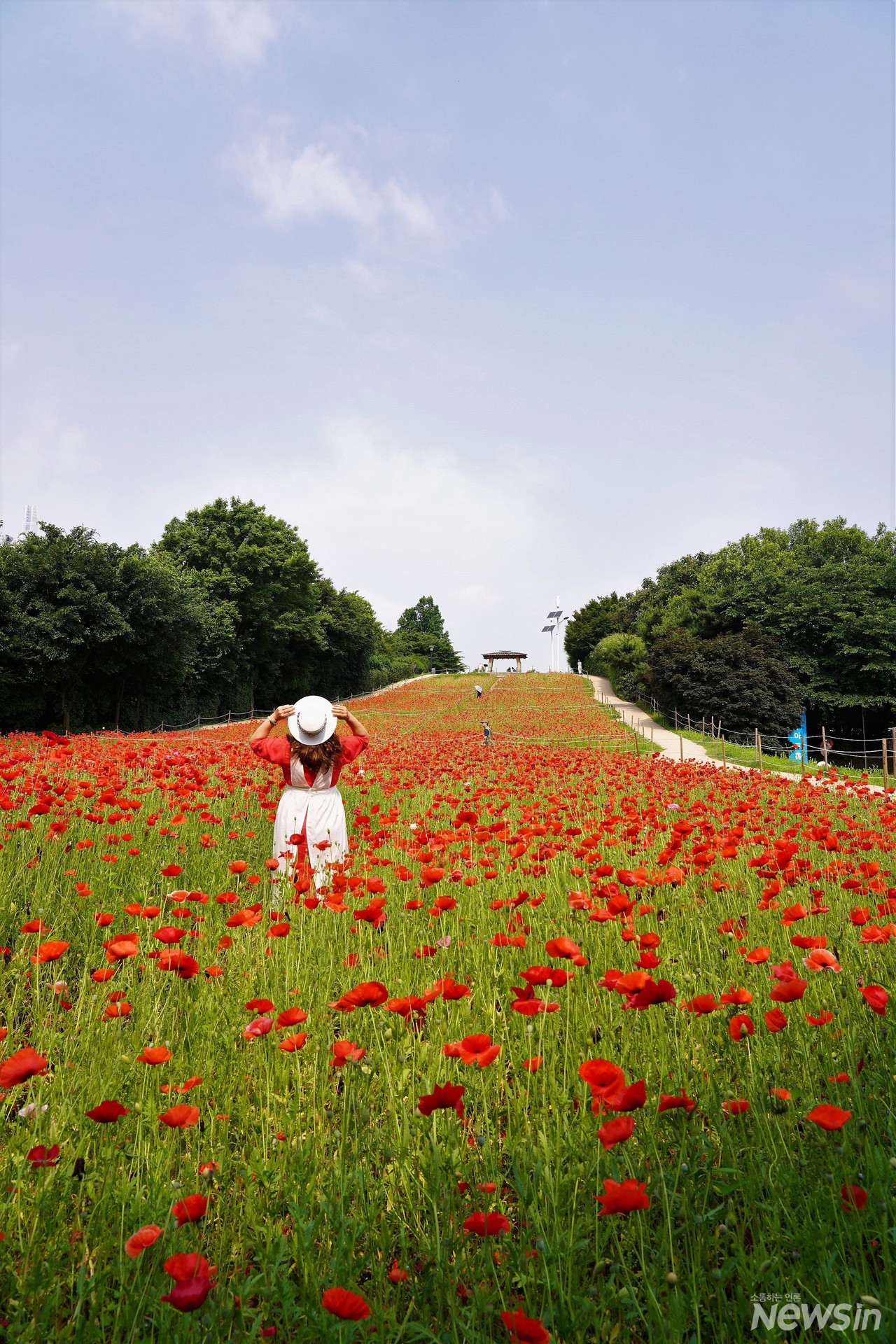 빨강옷과 하얀모자가 양귀비꽃과 잘 어울리네요