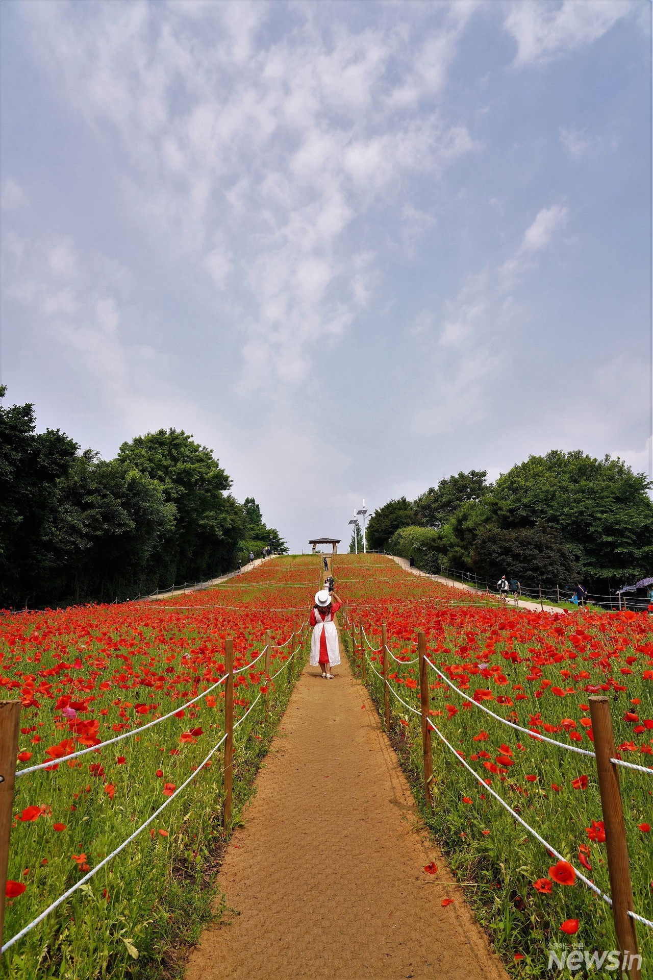 하늘과 원두막과 양귀비가 어우러져 한폭의 그림이네요